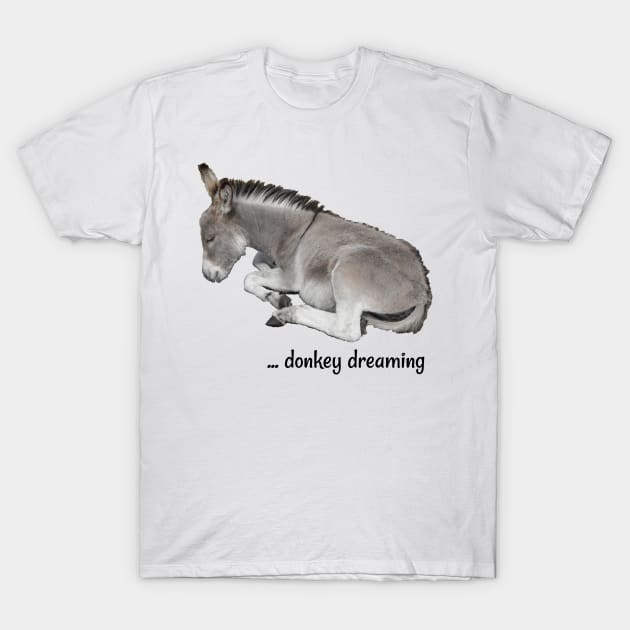 Little Donkey Dreaming T-Shirt by Michelle Le Grand